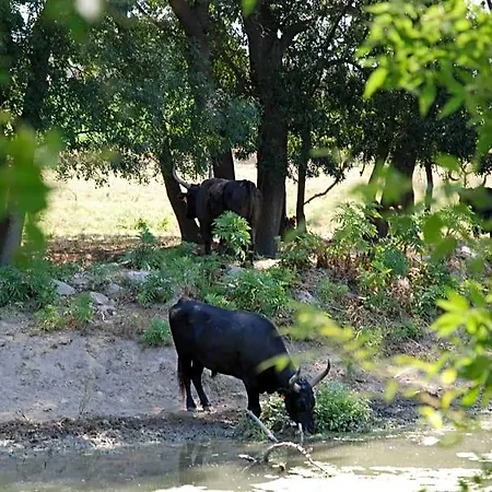 La Nanou'che Отель типа 