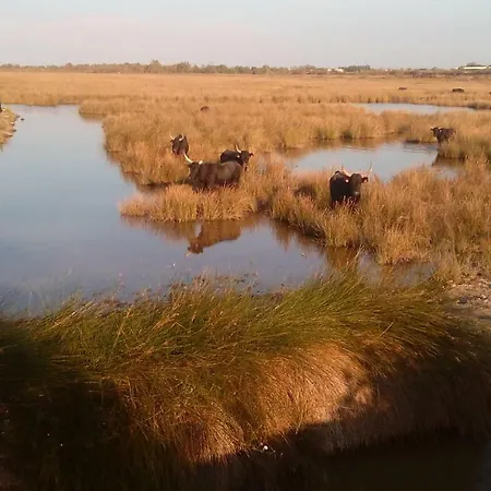 B&B La Nanou'che Le Cailar