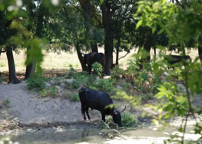 Panzió La Nanou'che 3*
